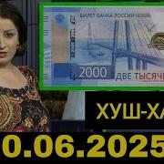 Нури Ислом Хочи Мирзо