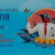 Los Mosquitos Cirque Du Soleil