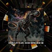 Deejay Dan Acid Breaks 13 2024 303 Breakbeat Acid Breaks Acidbreaks Deejaydan Breakbeat