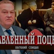 Евгений Спицын История России