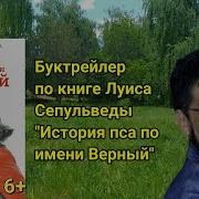 История Пса По Имени Верный