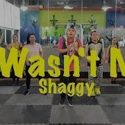 Shaggy Zumba Song