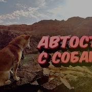 Автостопом По Мирам 3