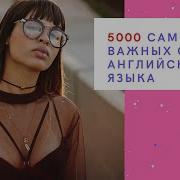 5000 Английских Слов С Переводом