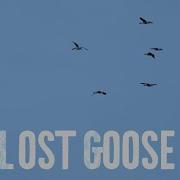 Benny Bleu Lost Goose