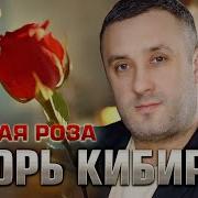 Роза Кибирев