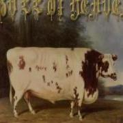 Bull Of Heaven 210