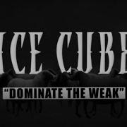 Dominate The Weak Ice Cube