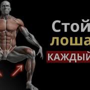 Что Происходит С Вашим Телом Когда Вы Выполняете Стойку Лошади Каждый День