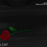 Коты Воители Слёзы
