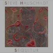 Steve Hauschildt Mixed Messages