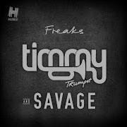 Timmy Trumpet Freaks Remix