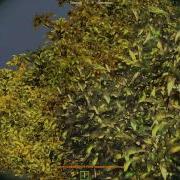 Немецкая Озвучка Для Wot