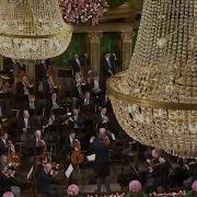 Blue Danube Waltz Венская Филармония