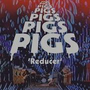 Pigs Pigs Pigs Pigs Pigs Pigs Pigs Reducer