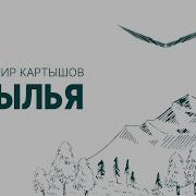 Картышов Владимир Крылья