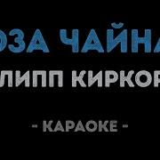 Роза Чайная На Снегу Караоке