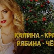 Рябина Чёрная Рябина Красная Песня