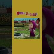 Маша И Медведь Вы Где Тут Все