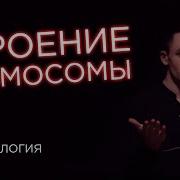 Егэ Биология Даниил Дарвин