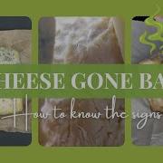 Cheese Gone Bad
