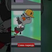 Сова Паркур
