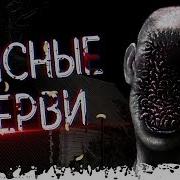 Паша Тайга Деревня Лихо