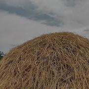 Елена Пашенцева Разгуляй