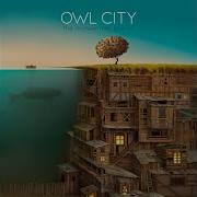 Owl City Silhouette