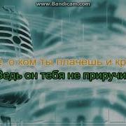 Виктория Дайнеко Караоке
