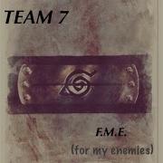 Team 7 Fme