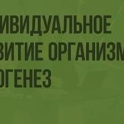 Индивидуальное Развитие 9 Класс