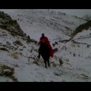 Жить Значит Бороться