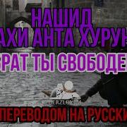 Нашид Ахи