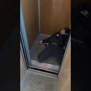 Уснула Рано И Спала Сладко Сладко