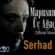 Mapusun Içinde Üç Ağaç Incir