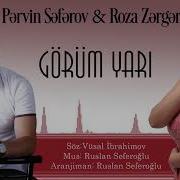 Pervin Roza Gorum