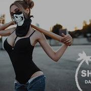 Alan Walker Remix 2021 Best Shuffle Dance Music 2021