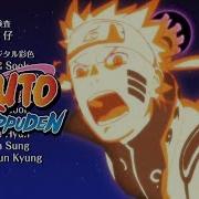 Naruto Shippuden Ed 29 Full