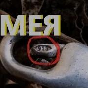 Серебряные Змеи