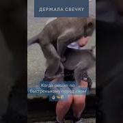 Смотреть Там Где Дрочат Письку