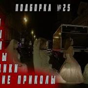 Сборник Таксиста