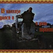 Из Деревенского Состава Трактористом Был Лишь Я