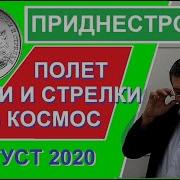 Белка И Стрелка Оружию