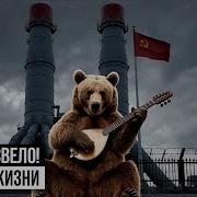 Группа Формат Альбом