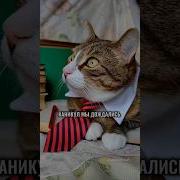Частушки Про Каникулы