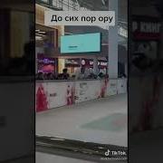 Ну Где Же Ваши Члены