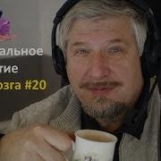 Эмбриональное Развитие Сергей Савельев