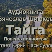 Вячеслав Шишков Тайга