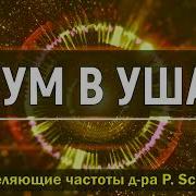 Свист Шум Музыка